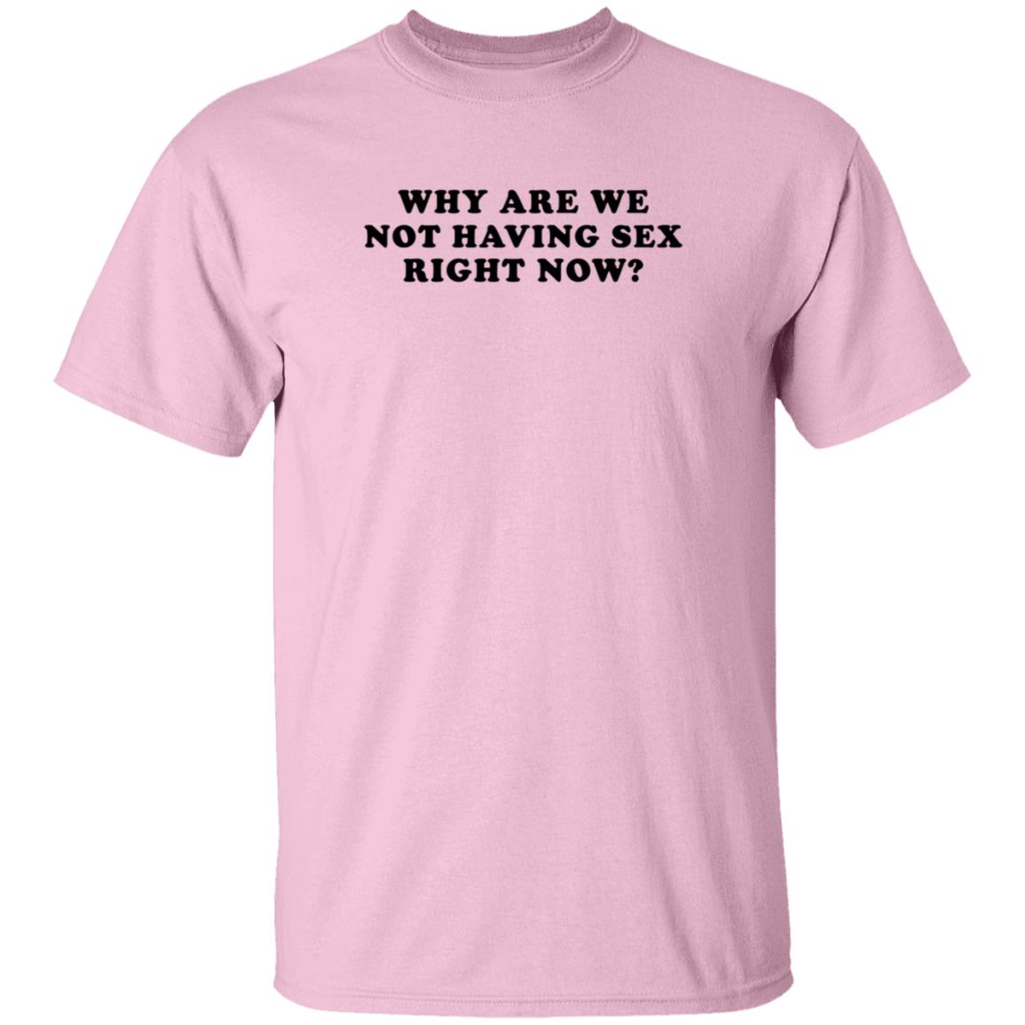 Why Are We Not Having Sex Right Now T Shirt Chloe Temple Why Are We Not Having Sex Right Now T Shirt Chloe Temple