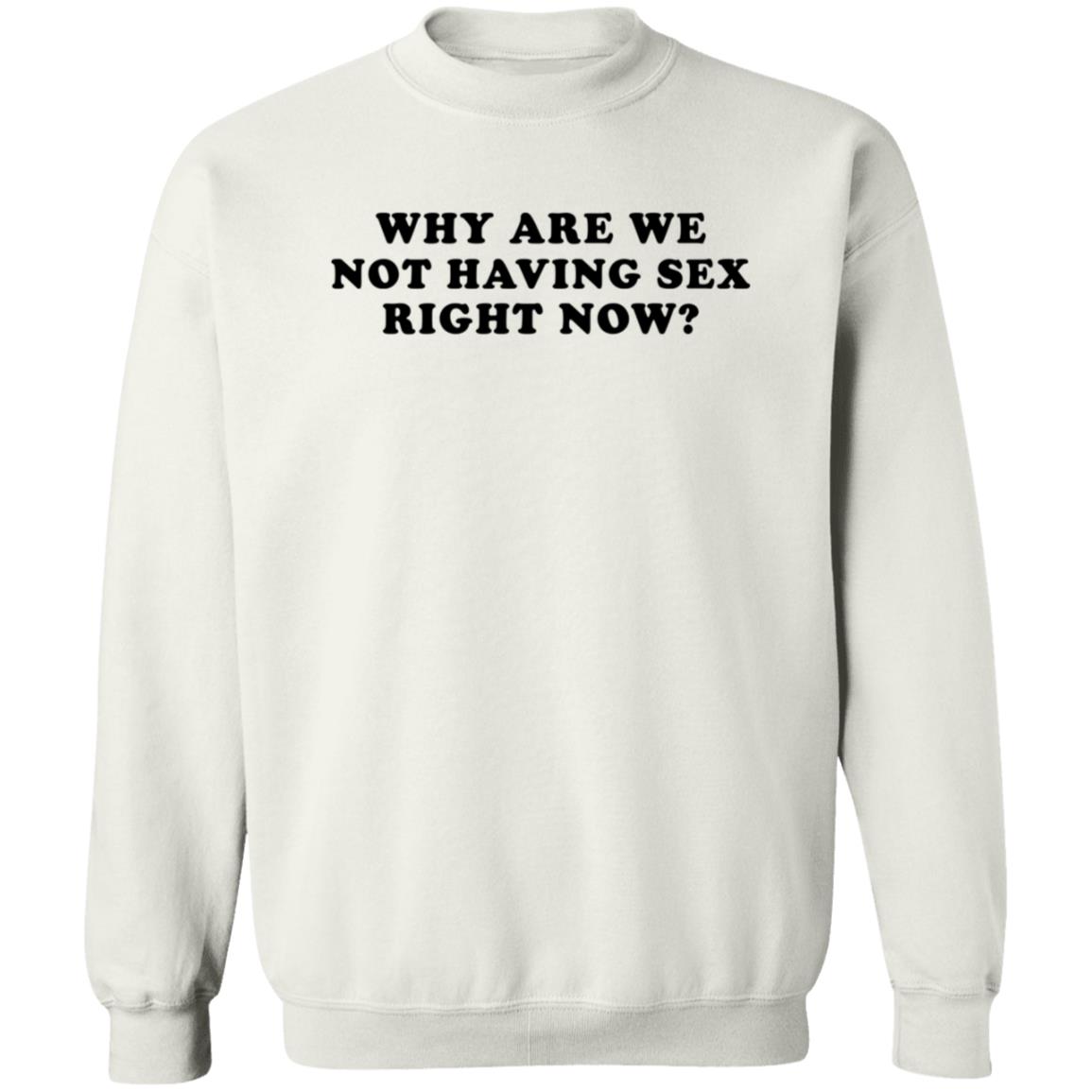Why Are We Not Having Sex Right Now T Shirt Chloe Temple Why Are We Not Having Sex Right Now T Shirt Chloe Temple